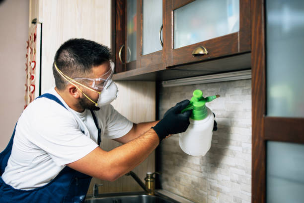 Best Best Pest Control Companies  in Orleans, VT